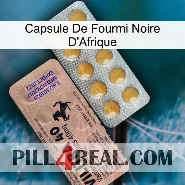 Africa Black Ant Capsule 41